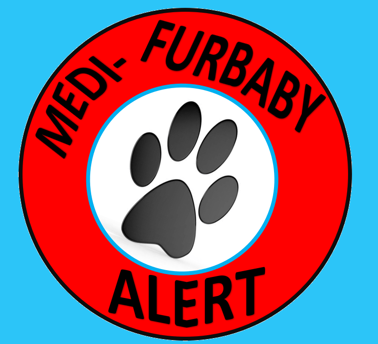 medi furbaby